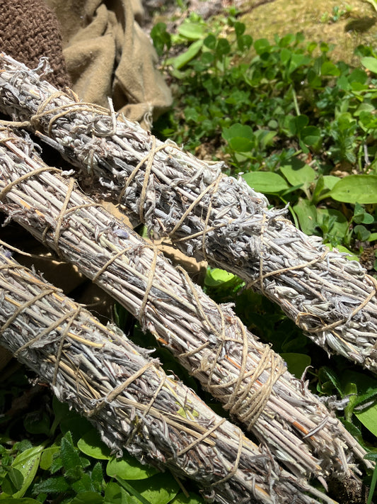 sacred sage • harvested in sedona AZ