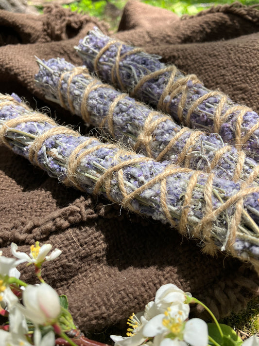 lavender • harvested in flagstaff AZ