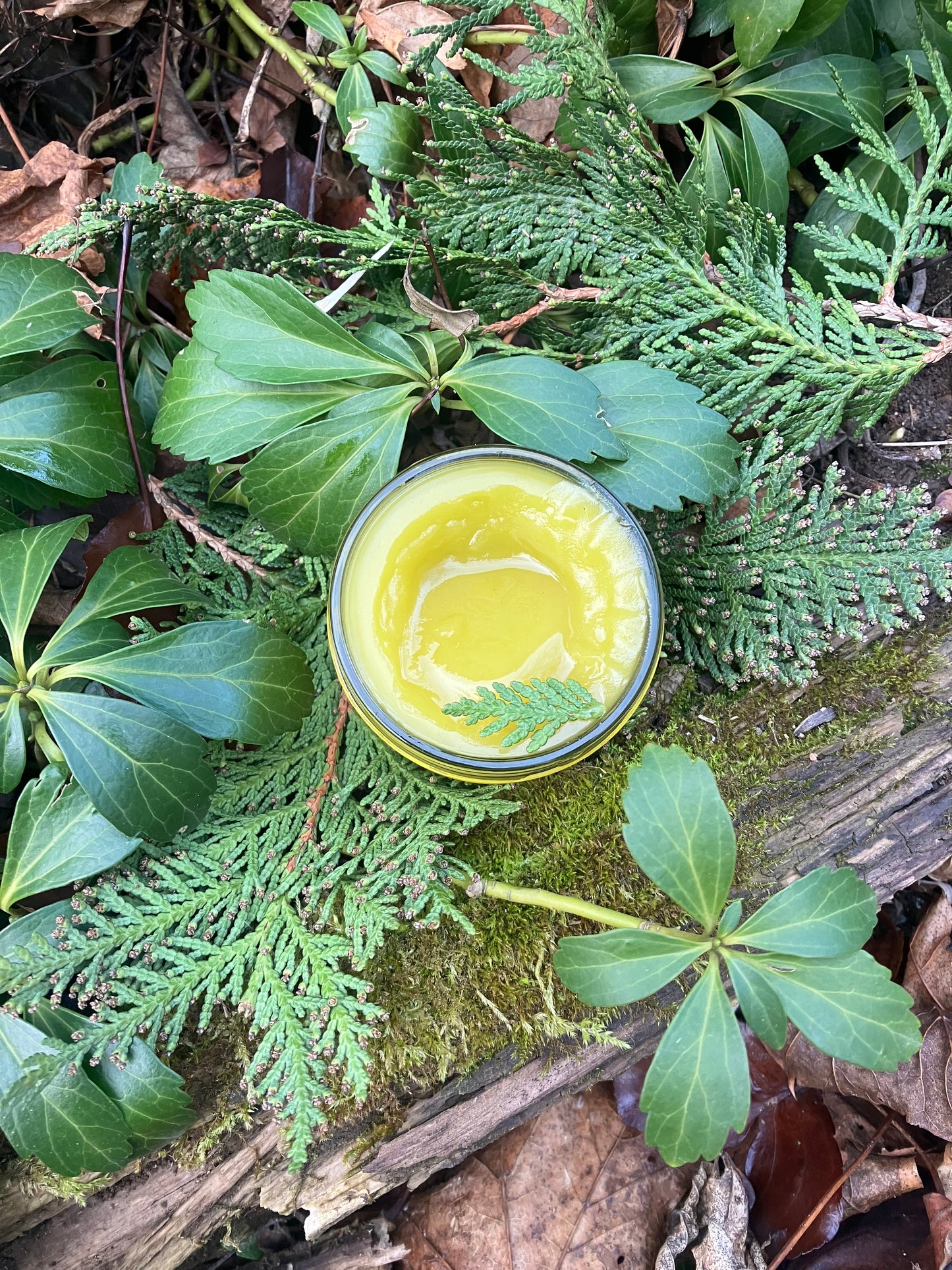 wild cedar massage oil