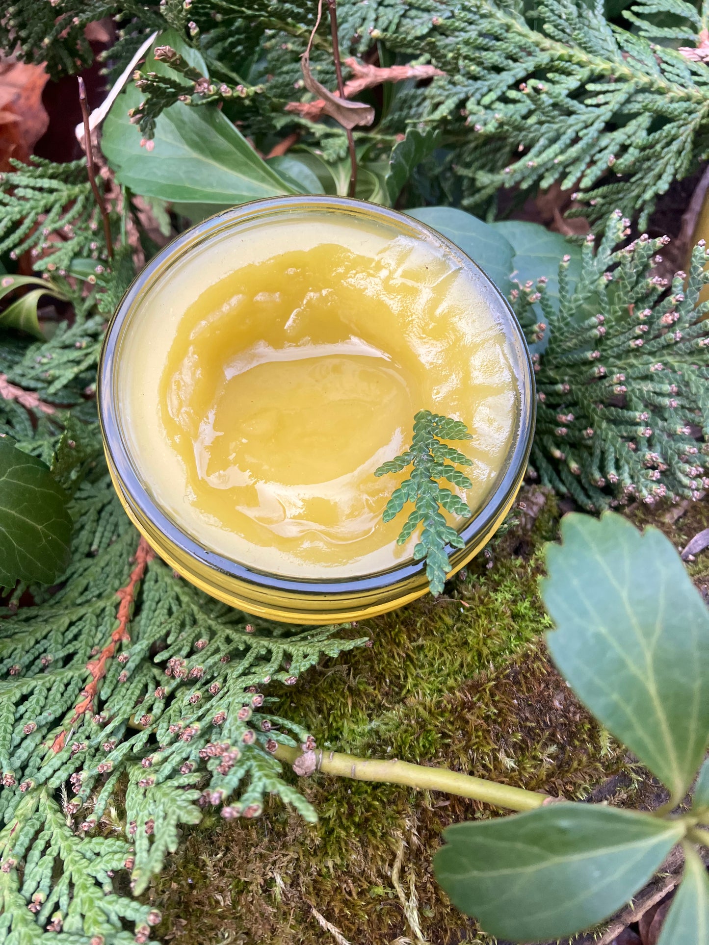 wild cedar massage oil