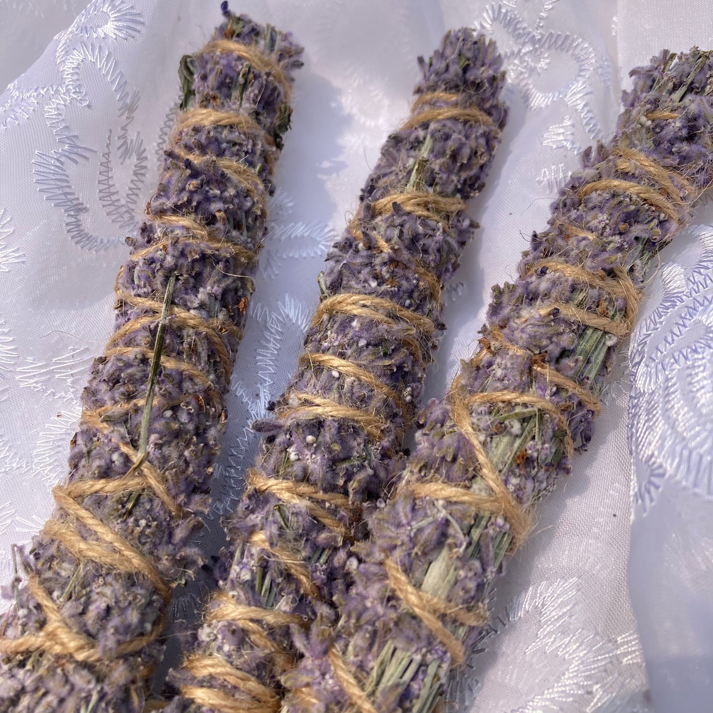 lavender • harvested in flagstaff AZ