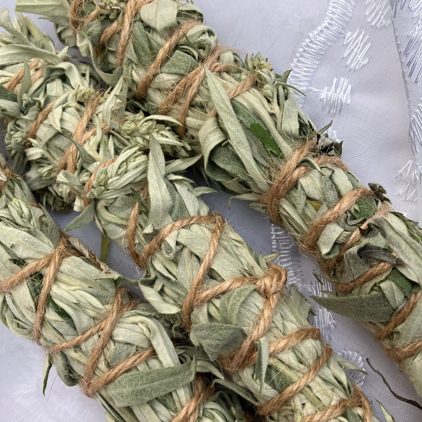 sacred sage • harvested in sedona AZ